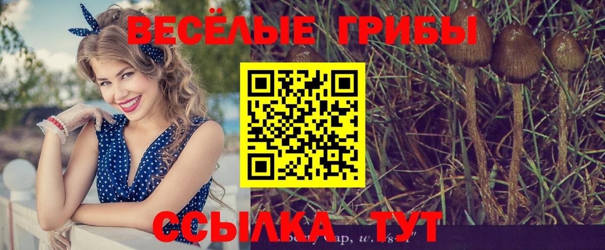 Псилоцибиновые грибы Magic Shrooms Арсеньев