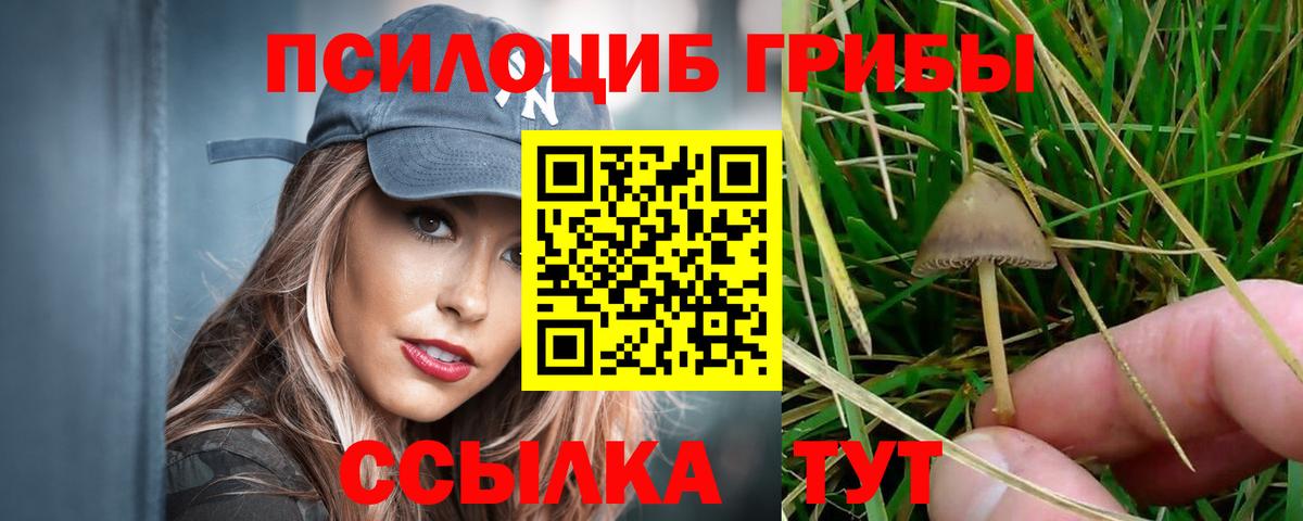 Псилоцибиновые грибы прущие грибы  Псилоцибиновые грибы мухоморы  даркнет сайт  Арсеньев  Вход с VPN 